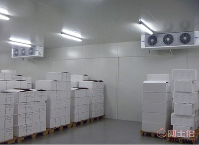 成都鮮奶冷藏庫價格與安裝全解析 打造高效冷鏈解決方案